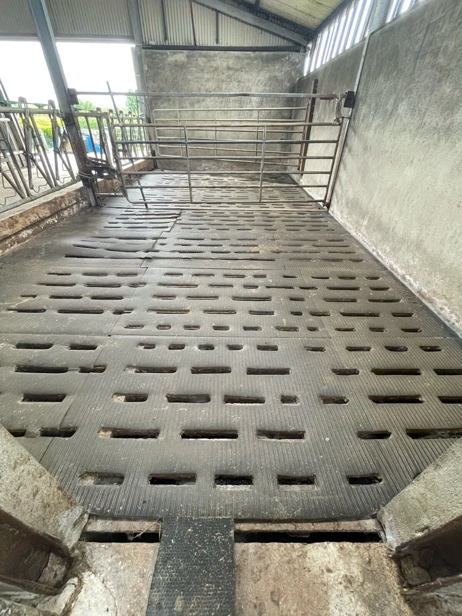 Used Slat  mats - Image 1