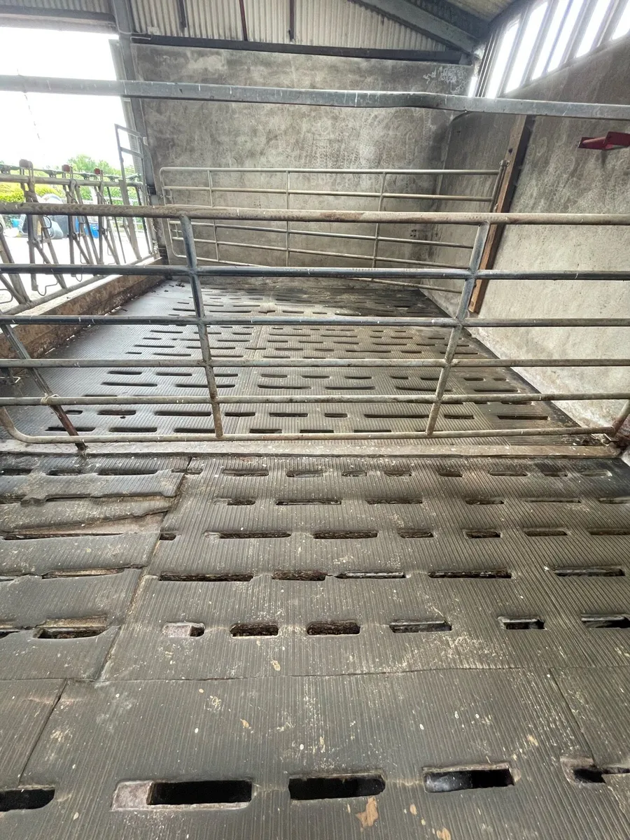 Used Slat  mats - Image 2