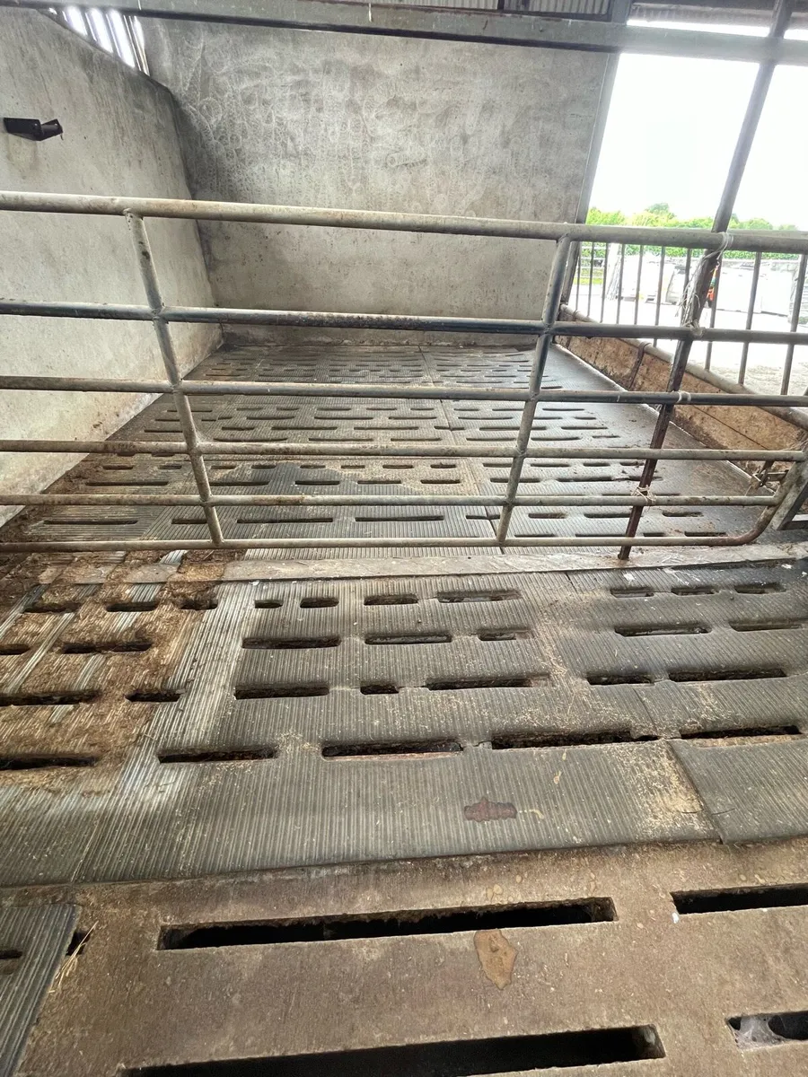 Used Slat  mats - Image 3