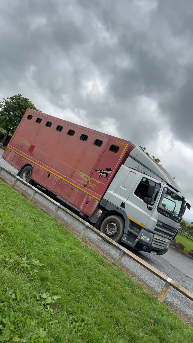 2010 Daf cf horse lorry - Image 1