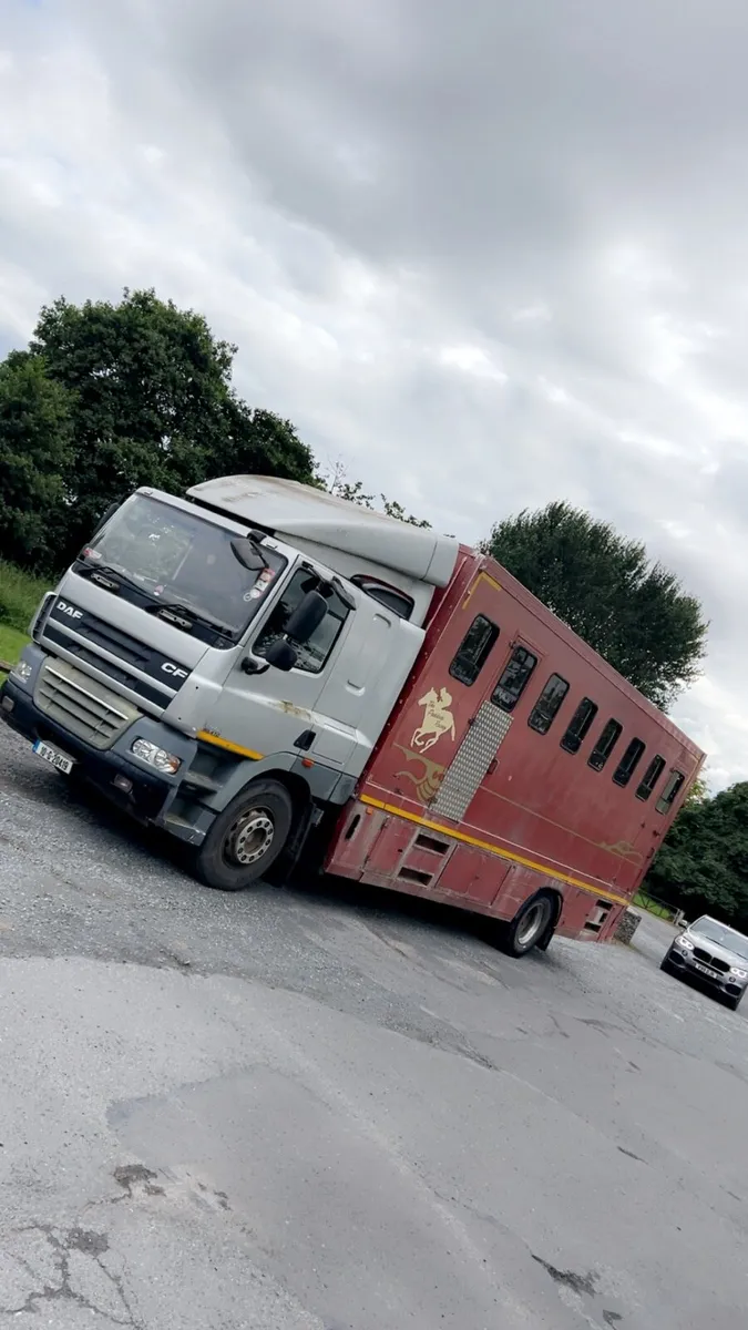 2010 Daf cf horse lorry - Image 2