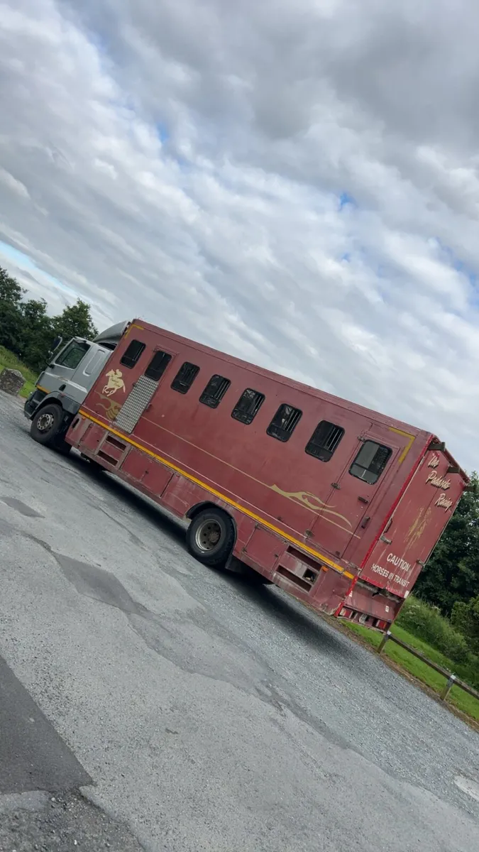 2010 Daf cf horse lorry - Image 3