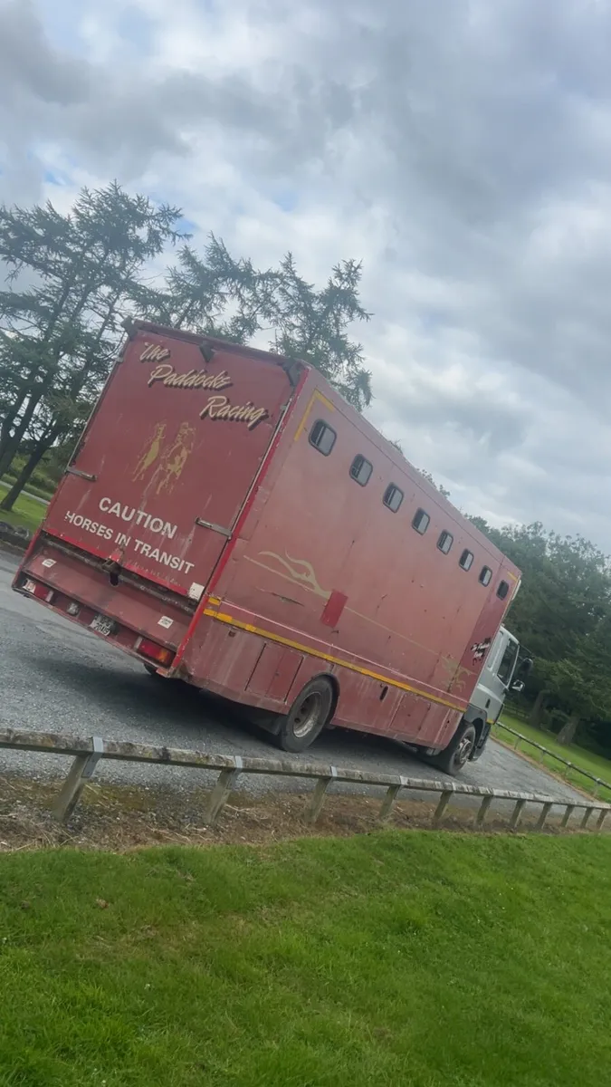 2010 Daf cf horse lorry - Image 4