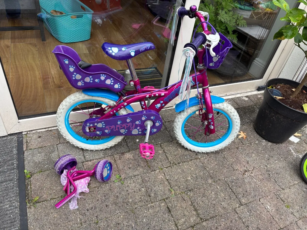 Small Girls Bike
