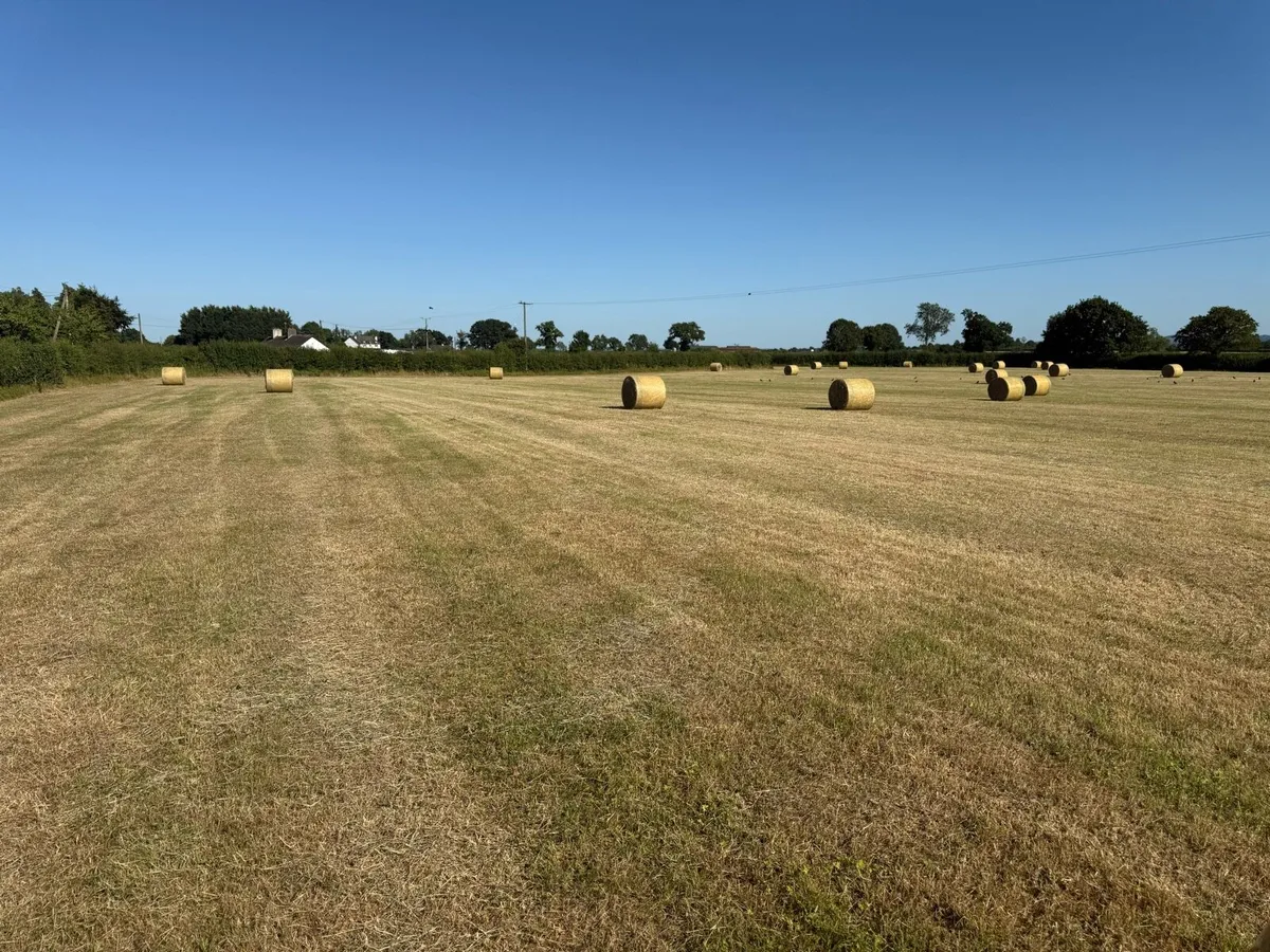 Hay bales