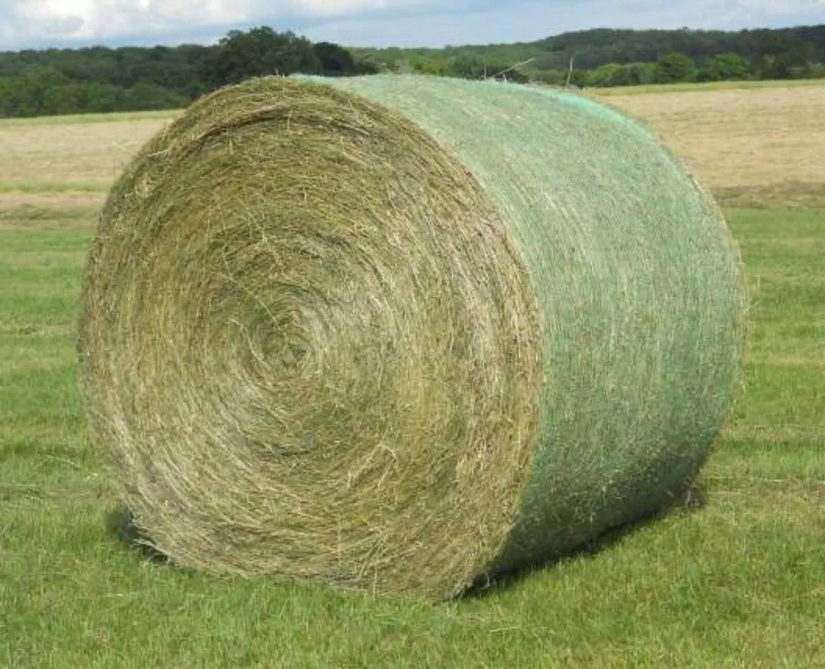 Round Bales of Hay