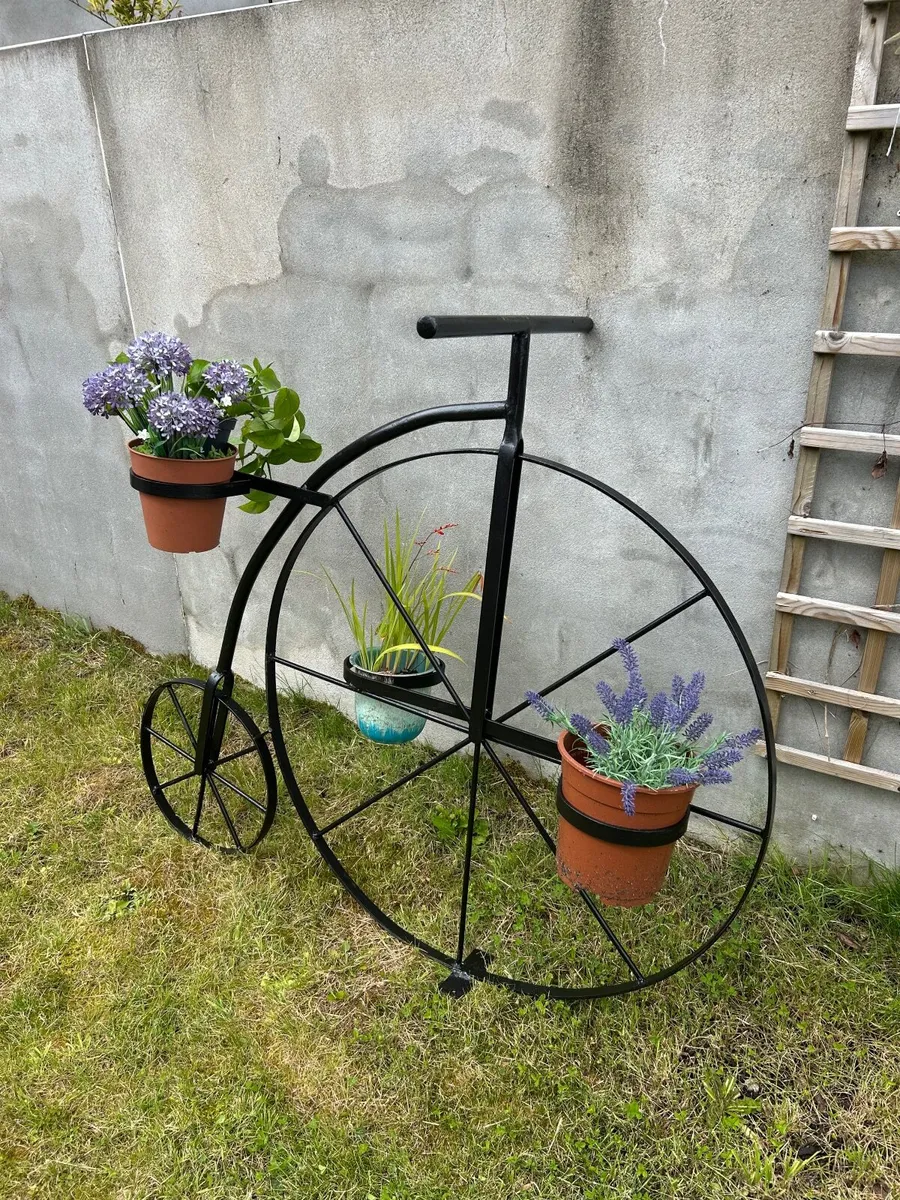 Penny farthing bike