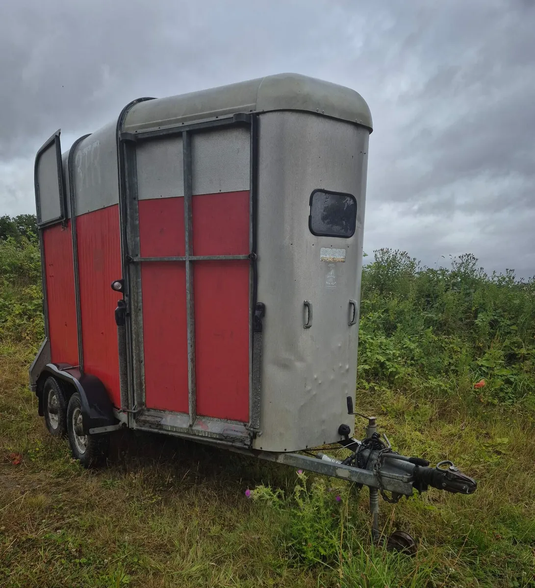 Ifor Williams 505 Horse box - Image 1