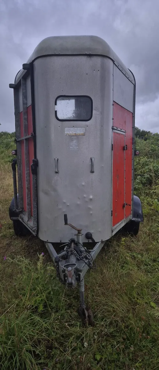 Ifor Williams 505 Horse box - Image 2