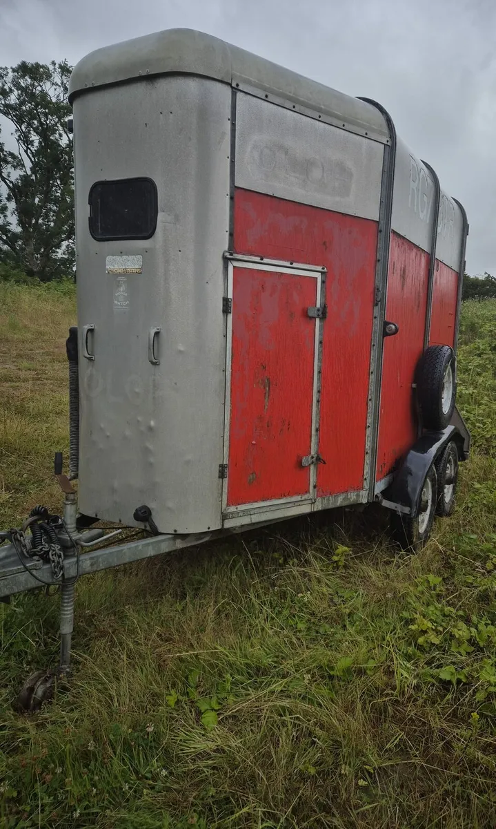Ifor Williams 505 Horse box - Image 3