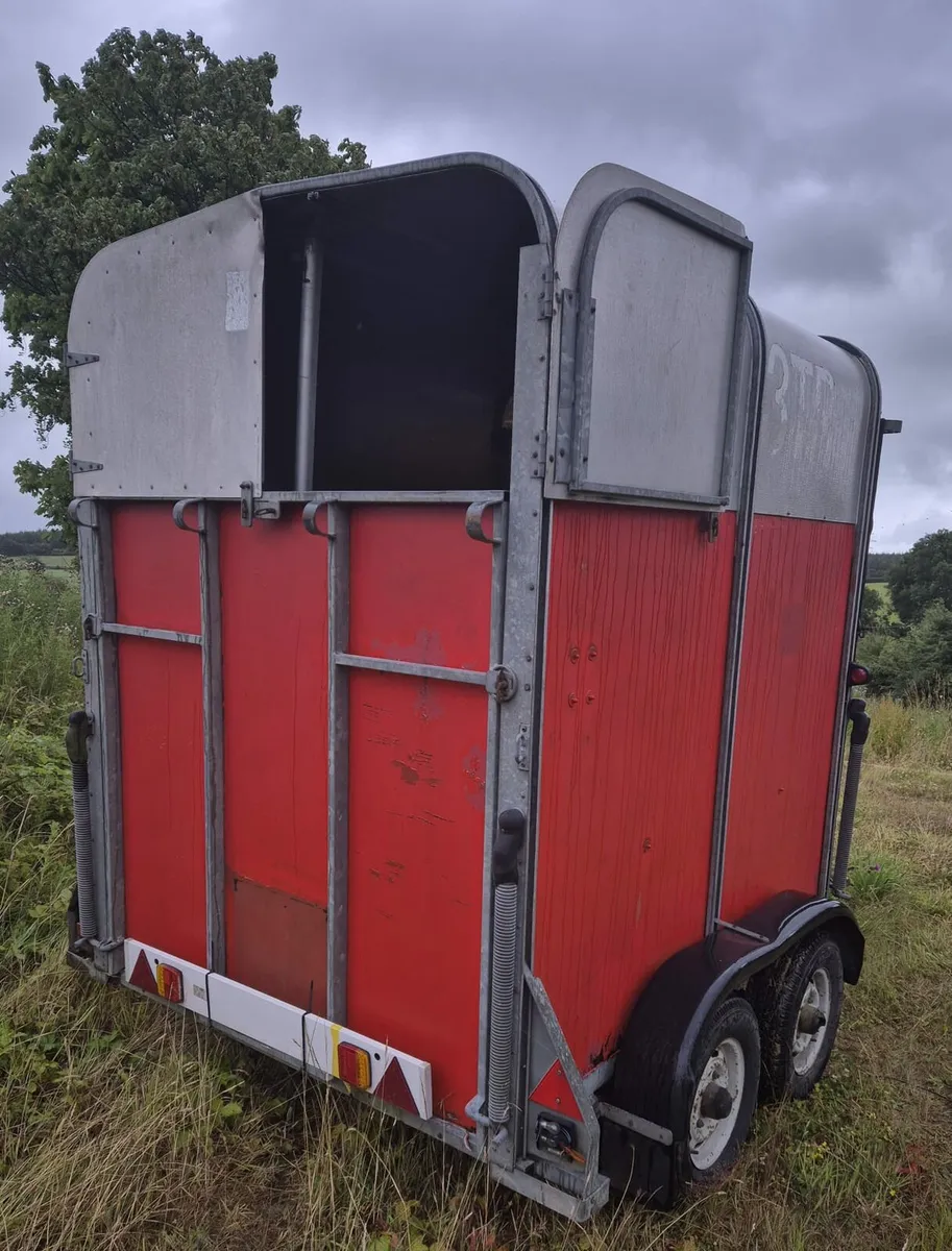 Ifor Williams 505 Horse box - Image 4