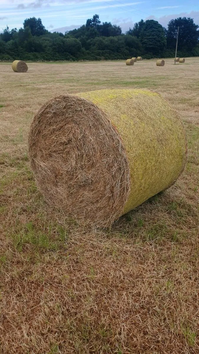 Hay Bales - Image 2