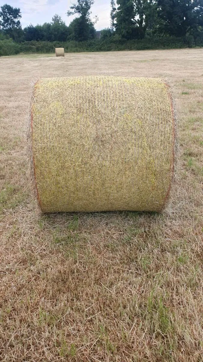 Hay Bales - Image 3