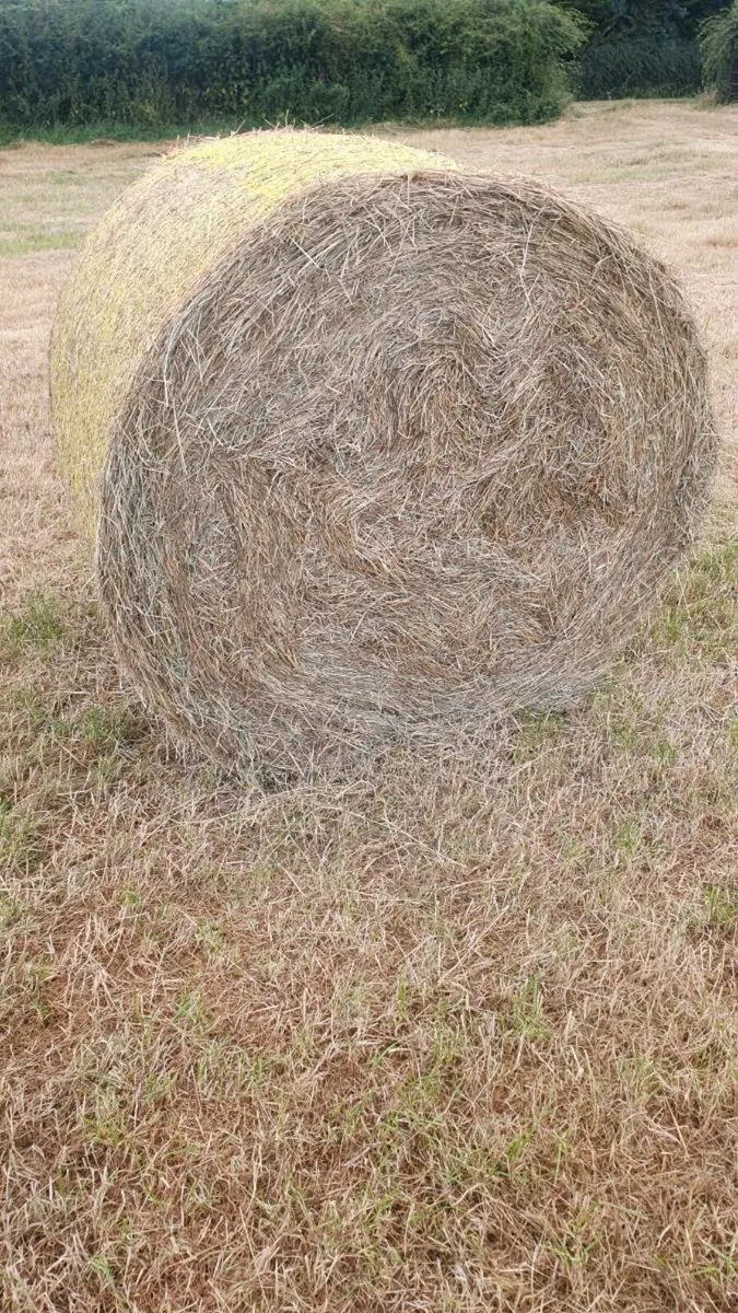 Hay Bales - Image 4