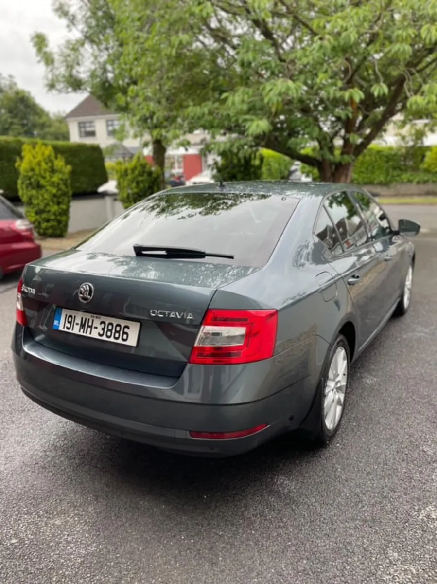 Skoda Octavia 2019 - SE L - 1.6 TDI Diesel - DSG - Image 4