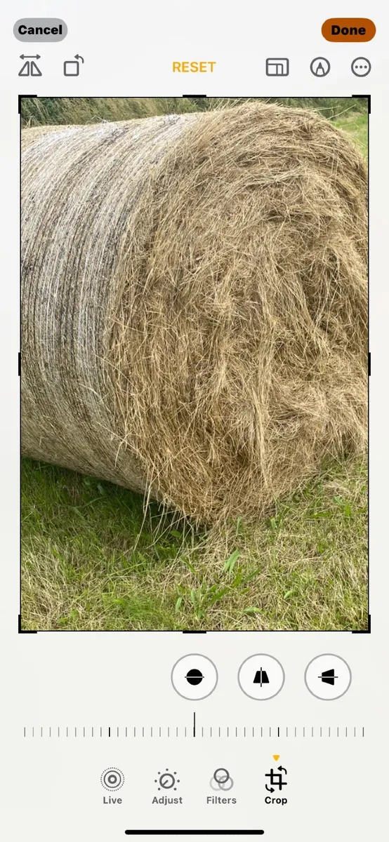 Round Bales Hay - Image 3