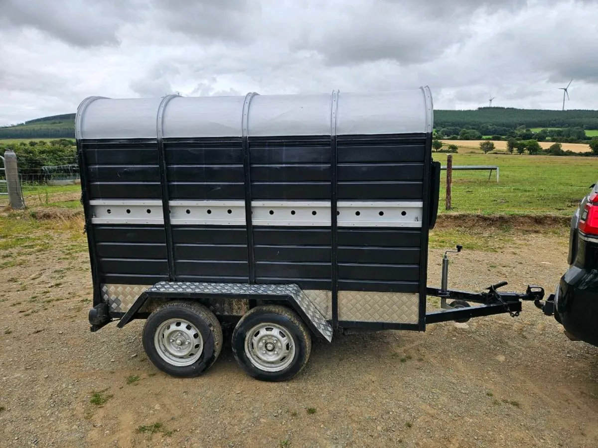 8 x 4 Trailer - Image 1