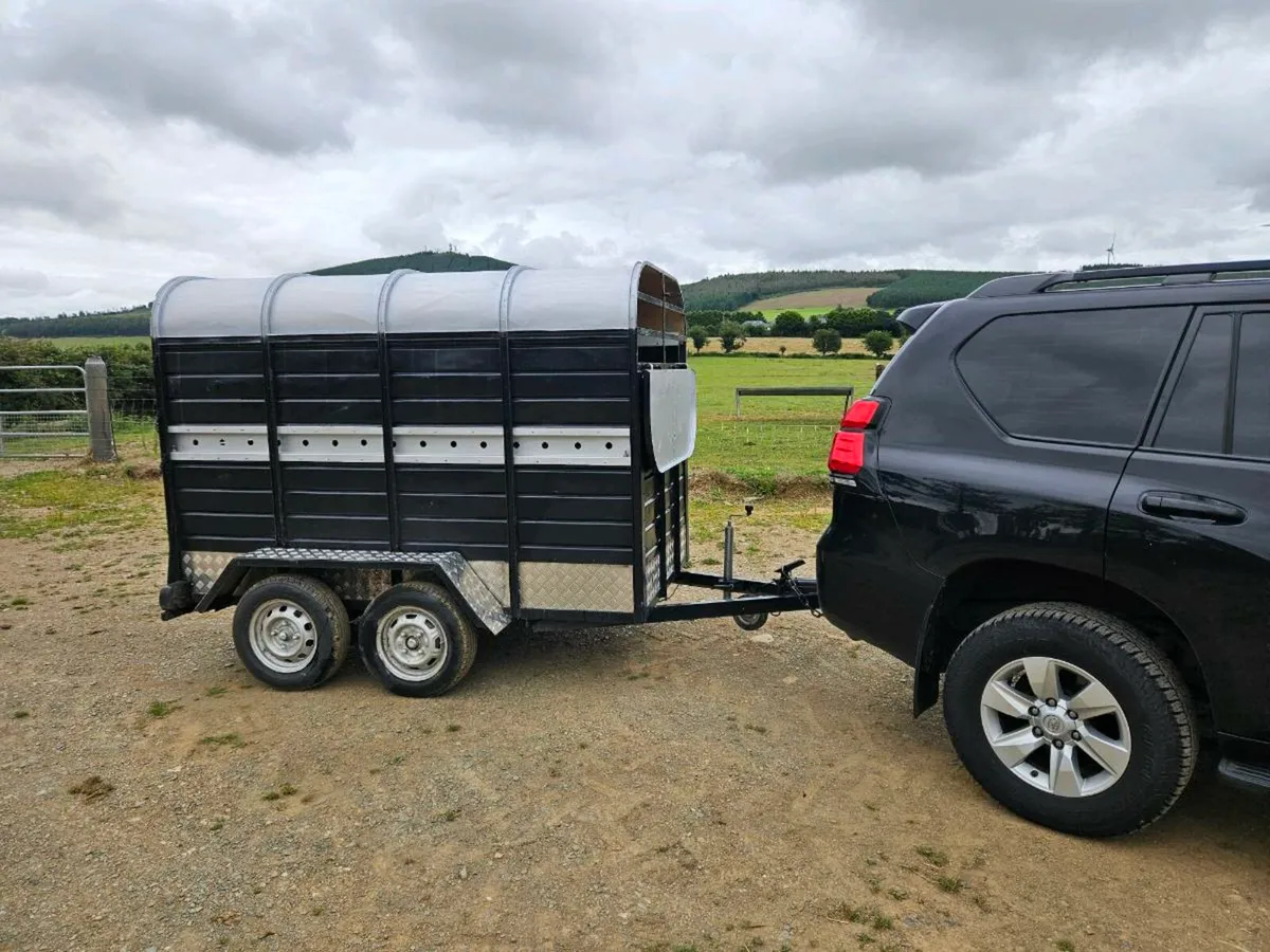 8 x 4 Trailer - Image 2