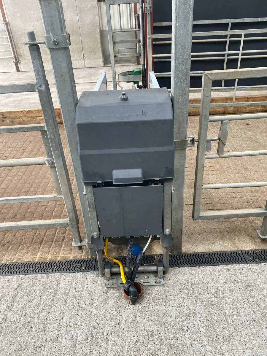 Holm and laue  Calf feeder - Image 4