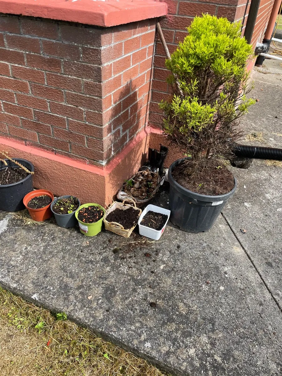 Garden pots and statues - Image 3