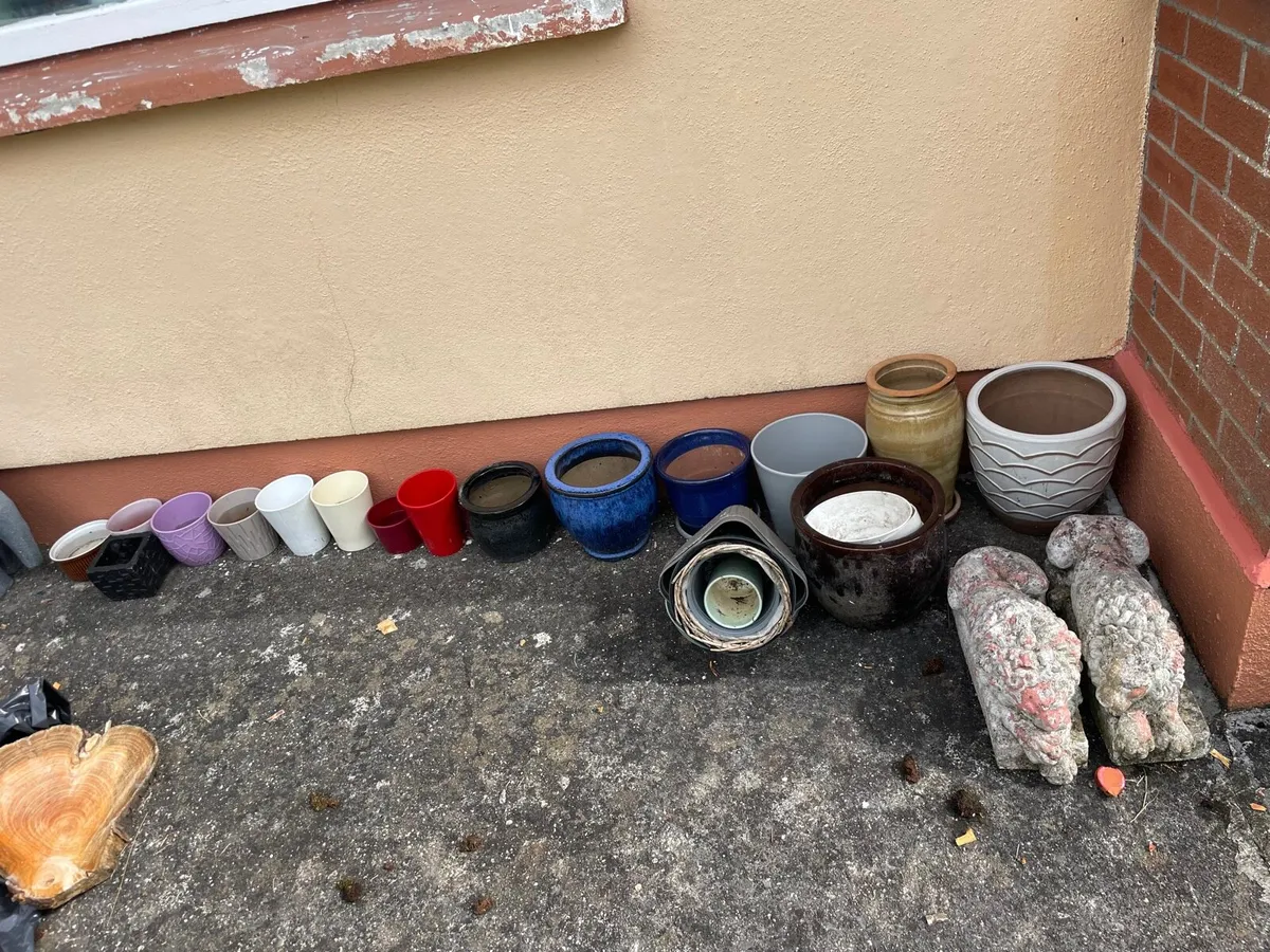 Garden pots and statues - Image 1