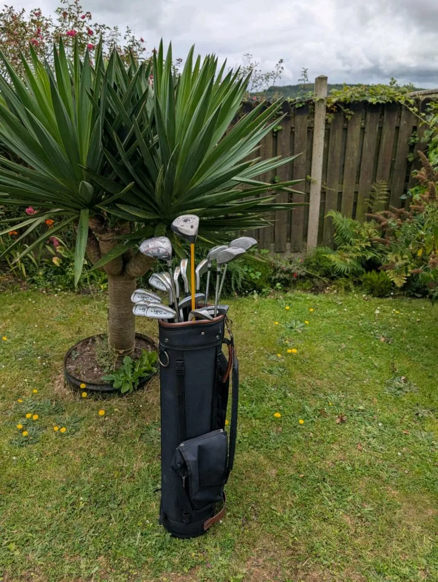 Full set of adult Golf clubs - Image 1