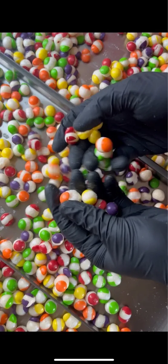 Freeze dryer - Image 2