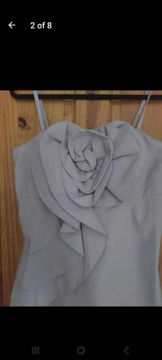 Ben de Lisi corsage dress (free post) - Image 2