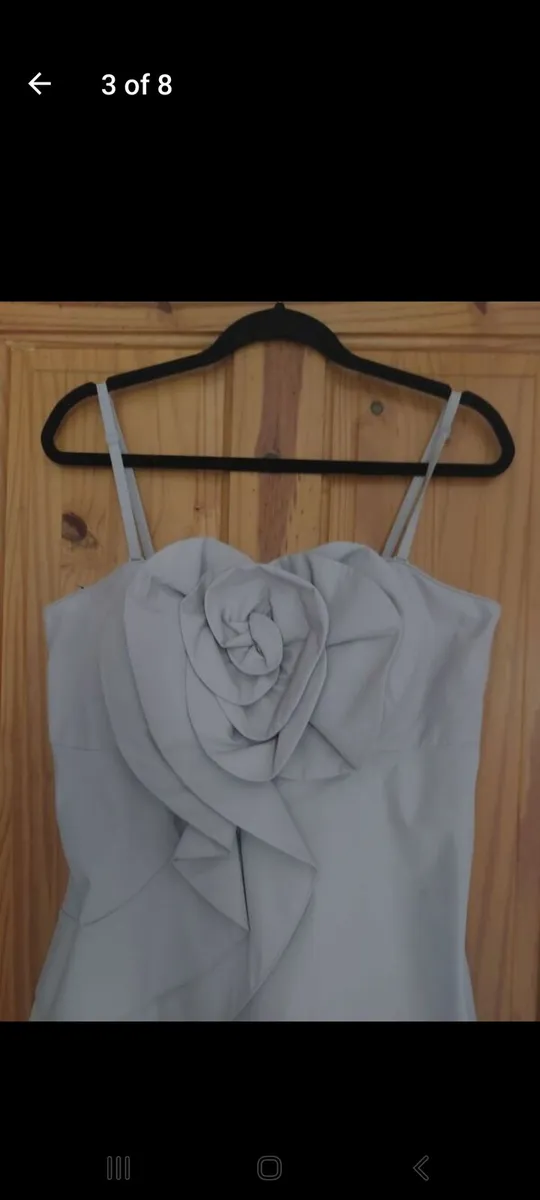 Ben de Lisi corsage dress (free post) - Image 3