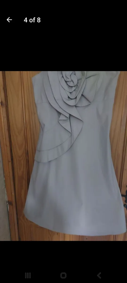 Ben de Lisi corsage dress (free post) - Image 4