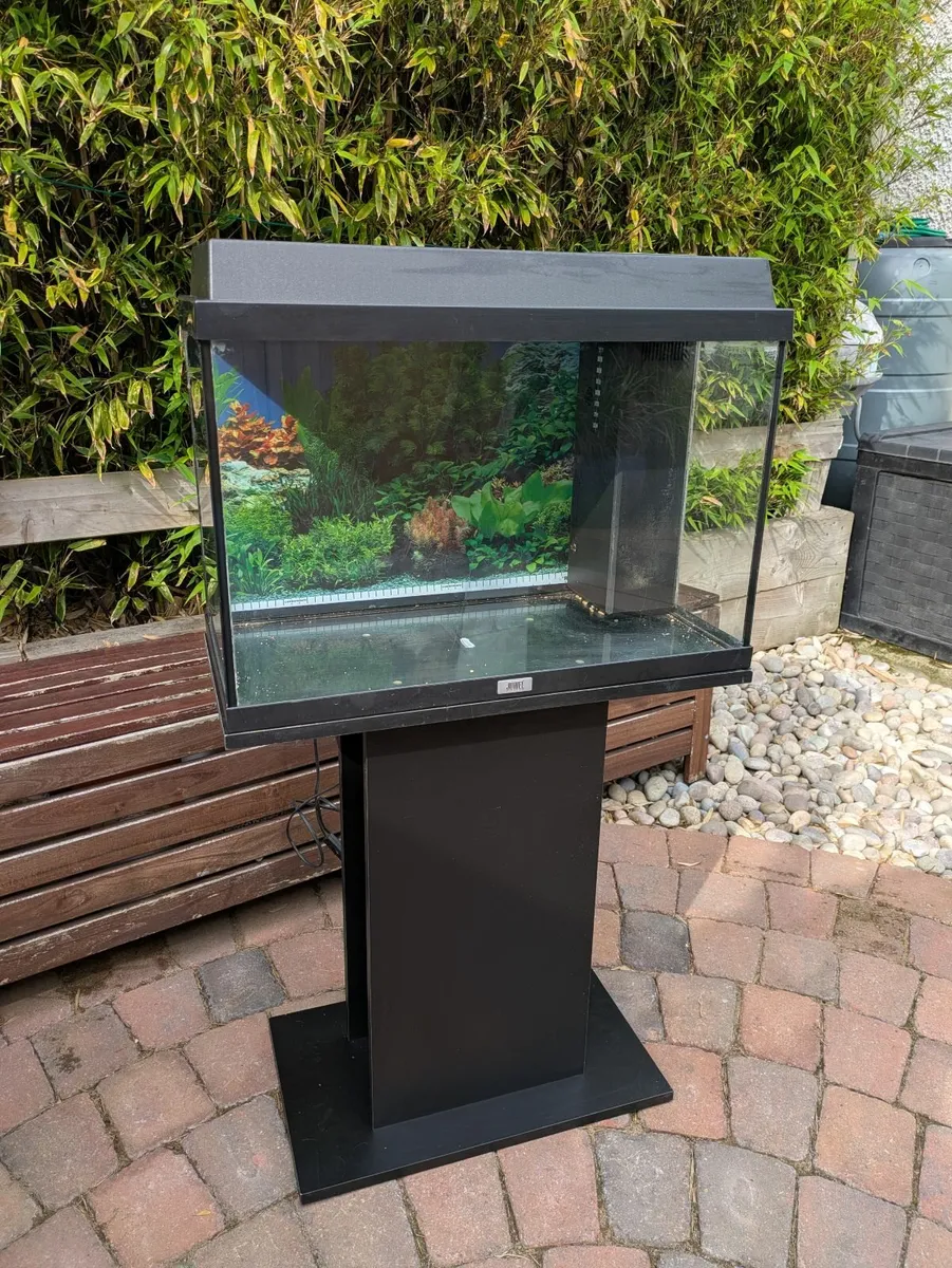 Tropical Fish Aquarium Tank - Image 1