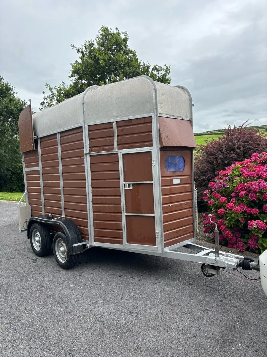 Double horse box - Image 4