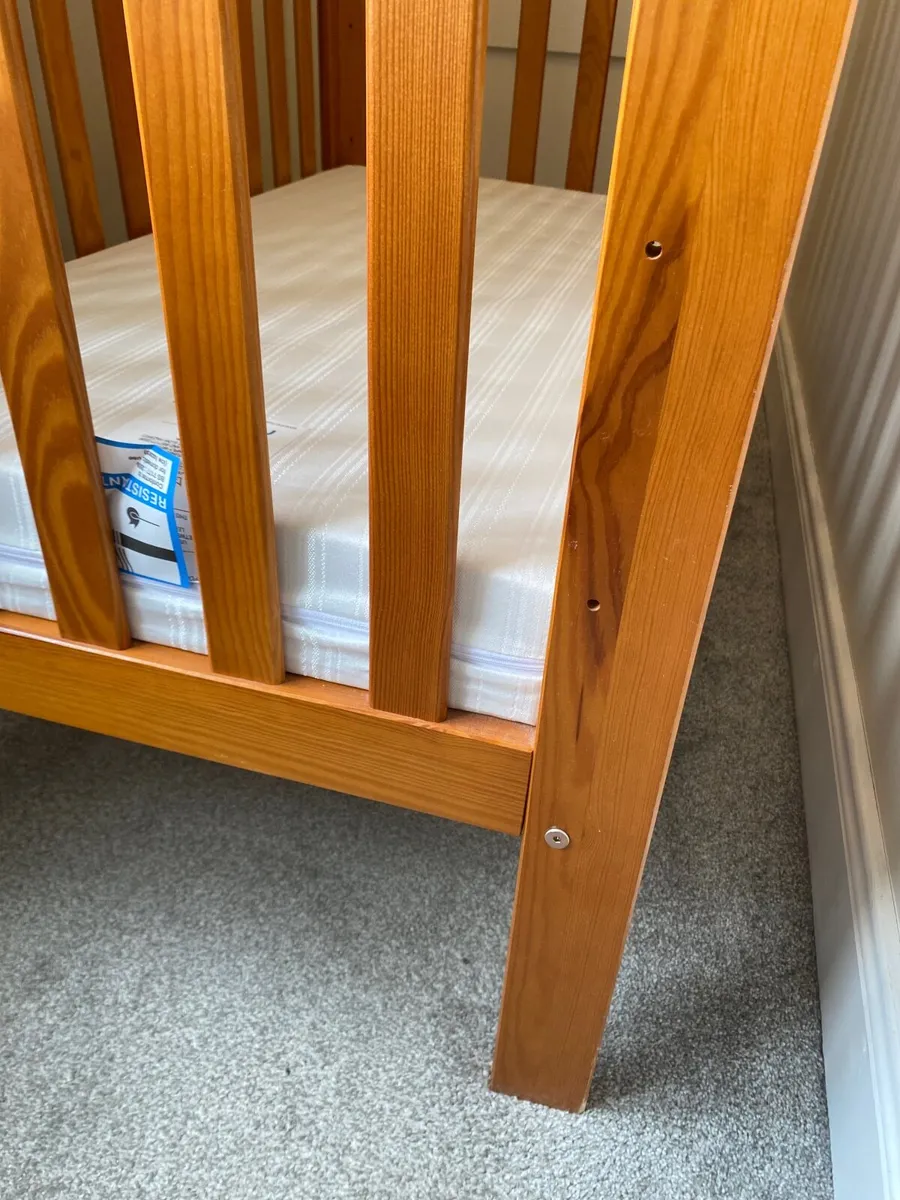 Cot - Image 3