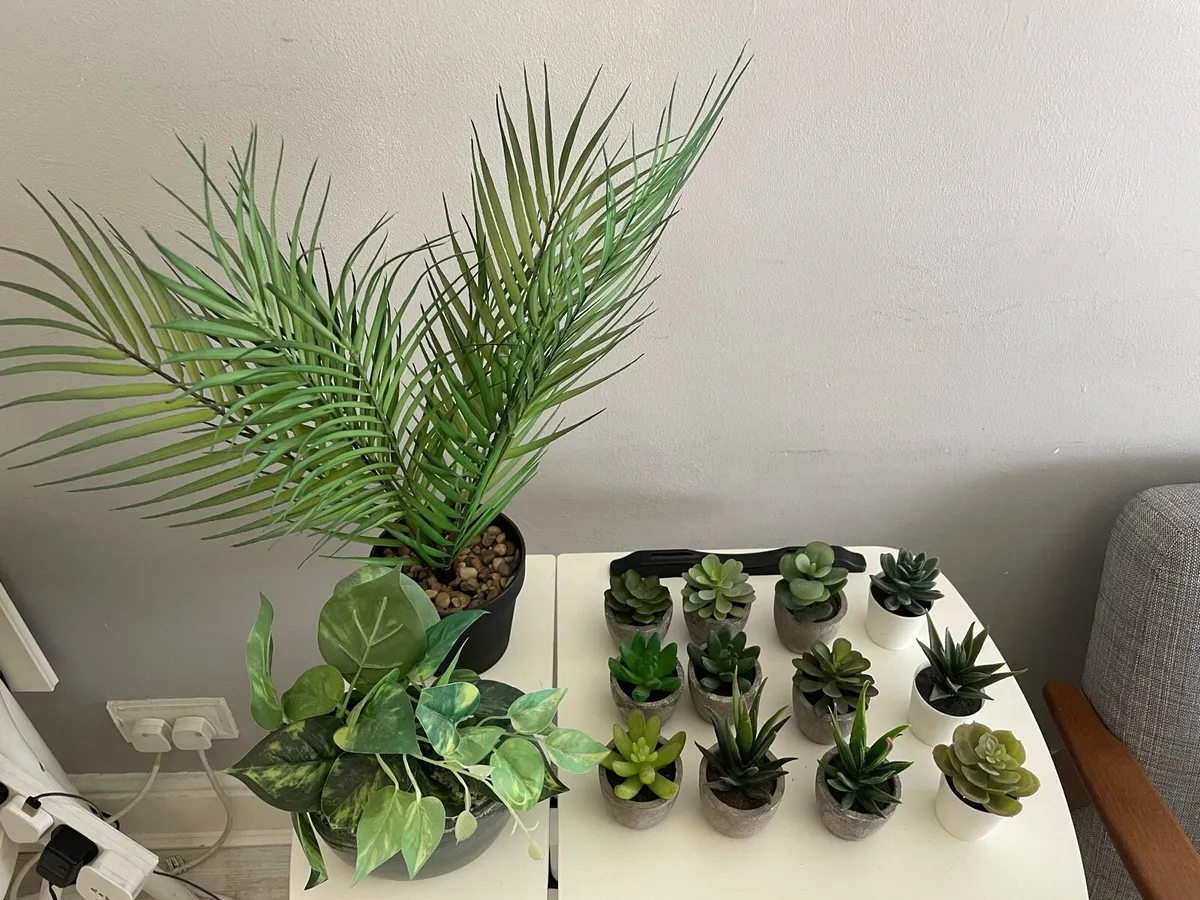 Artificial Succulents Plants - Image 2
