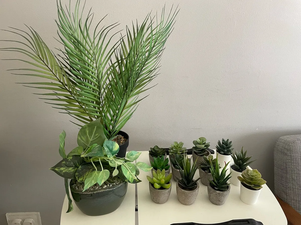 Artificial Succulents Plants - Image 1