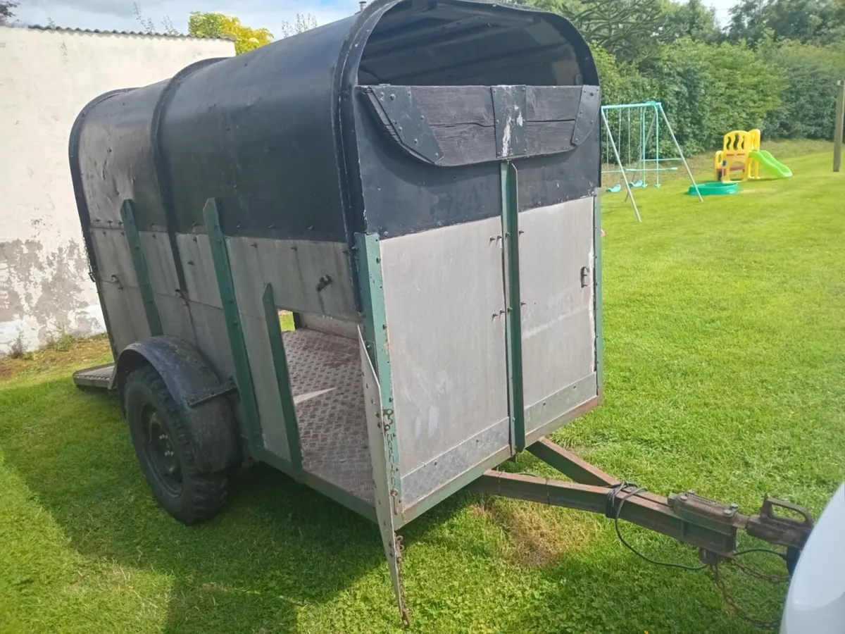 Aluminium Livestock Trailer ( 8ft x 4ft ) - Image 3