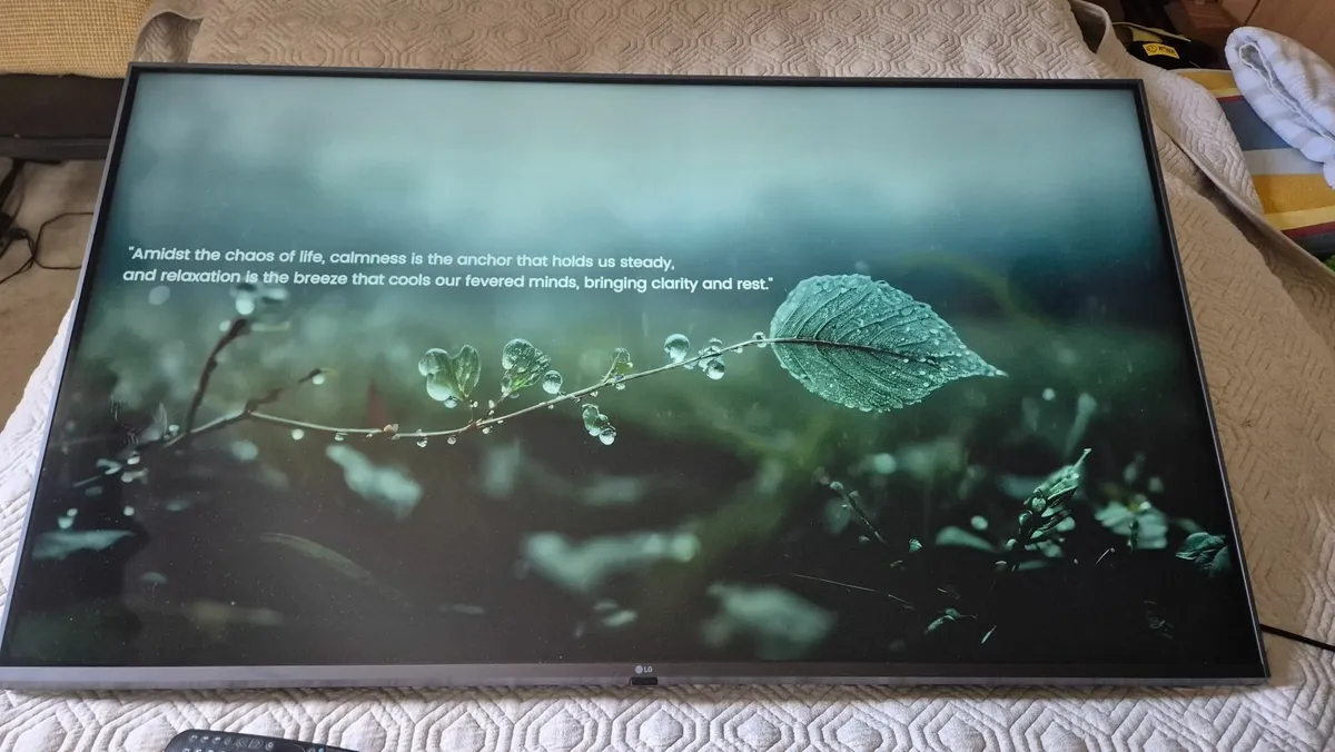LG Electronics 50UP77006LB - Image 3