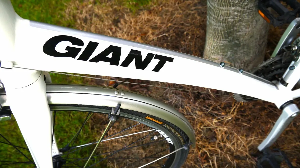 Giant Rapid 2 Hybrid - Immaculate - ML Frame (21") - Image 2