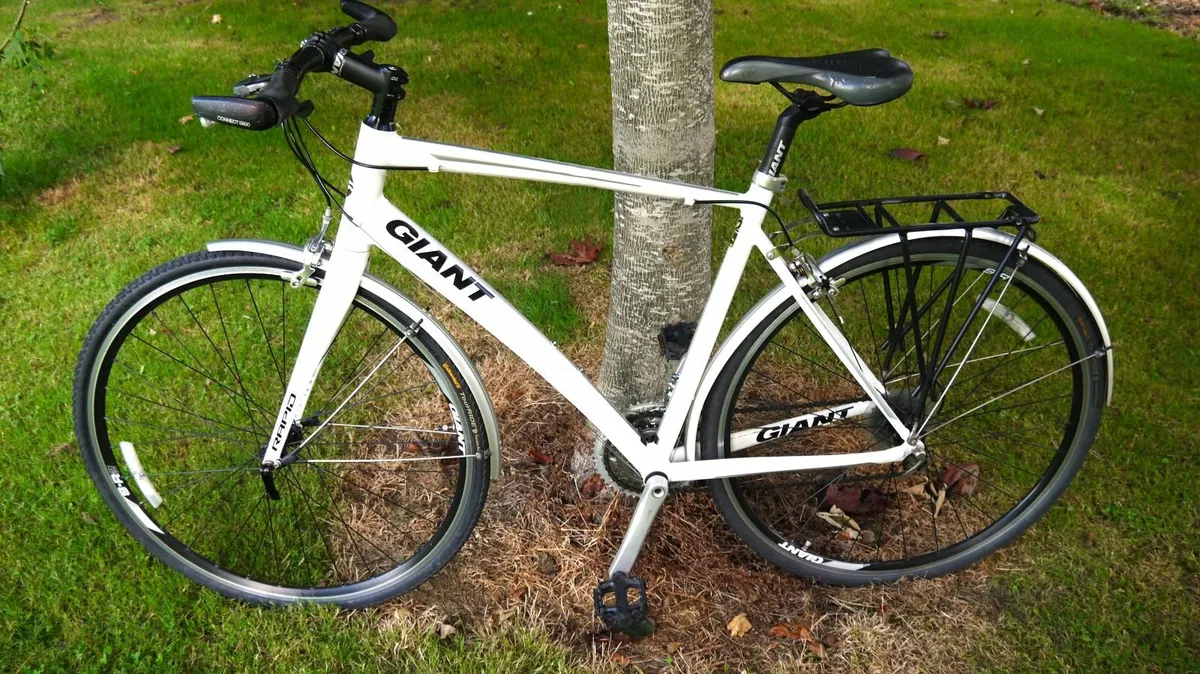 Giant Rapid 2 Hybrid - Immaculate - ML Frame (21") - Image 4