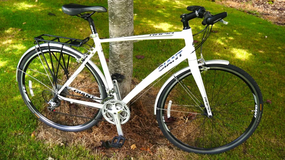 Giant Rapid 2 Hybrid - Immaculate - ML Frame (21") - Image 1