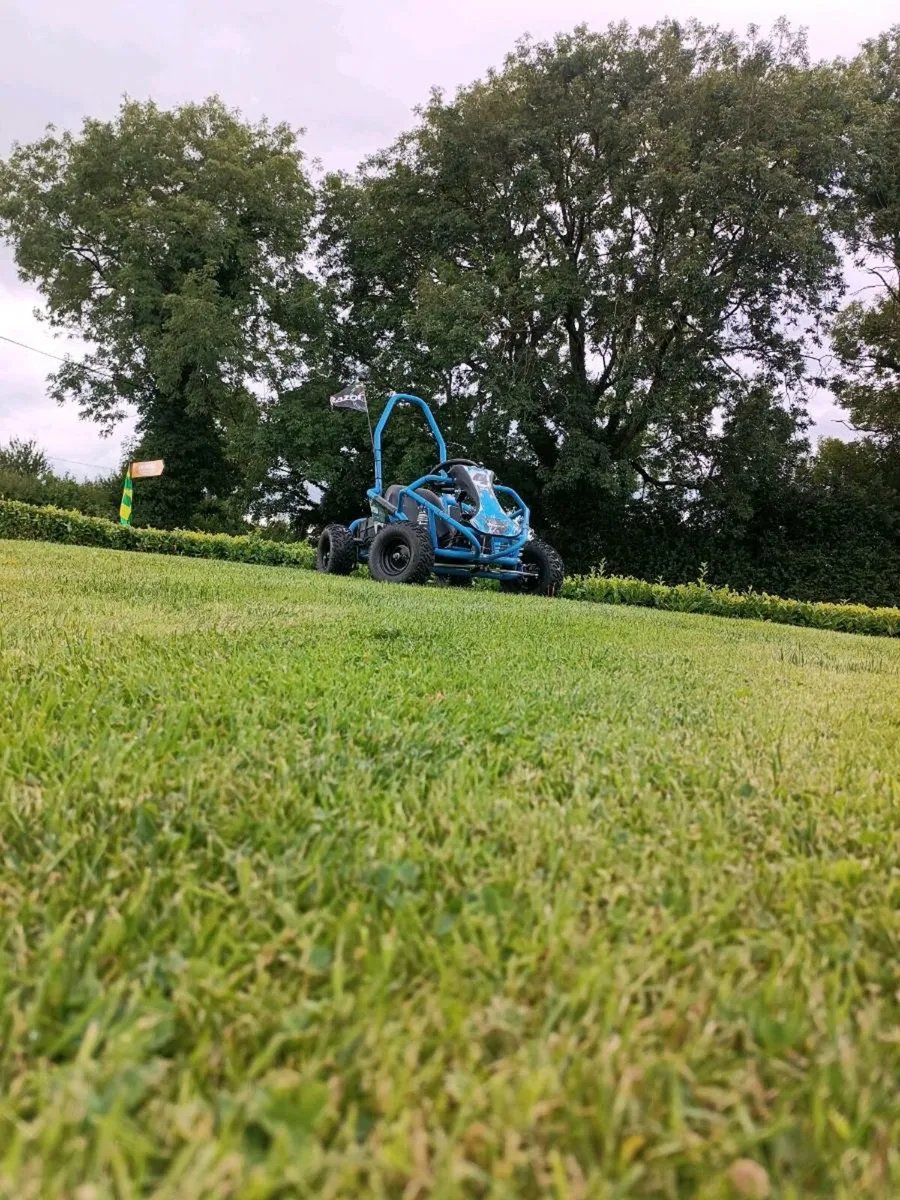 Mud monster buggy - Image 2
