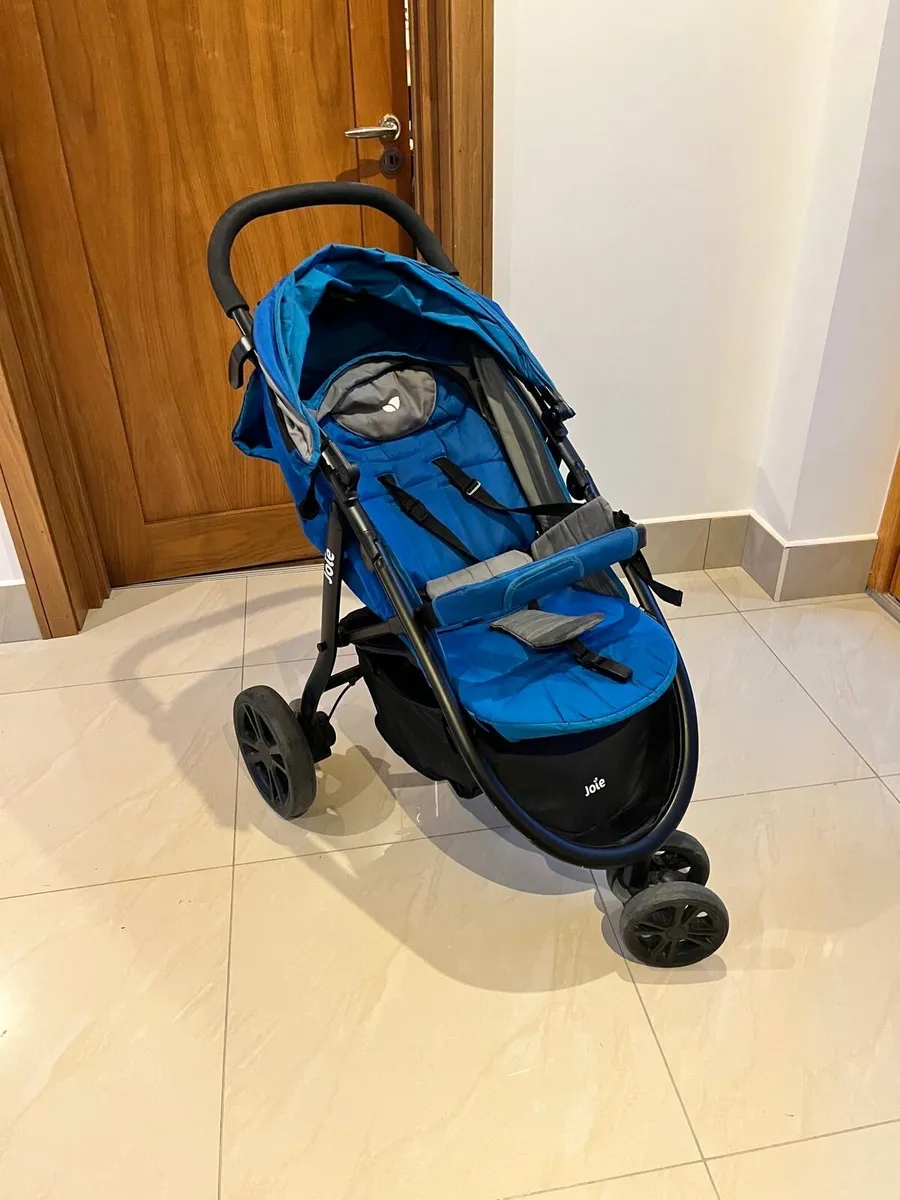 Buggy - Image 3