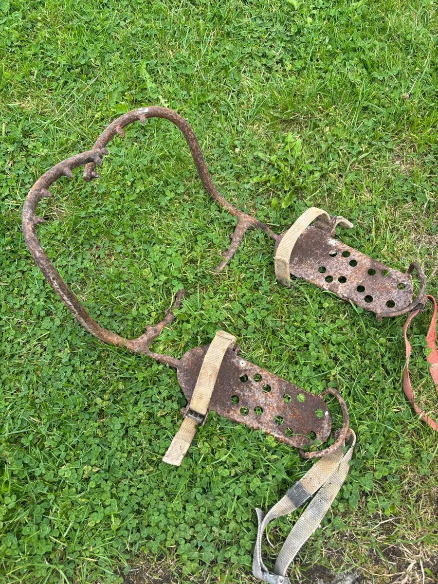 Shed clearout - Image 3