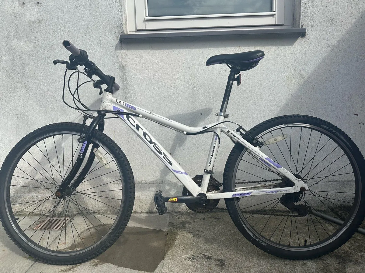 Mountain bike - Image 1