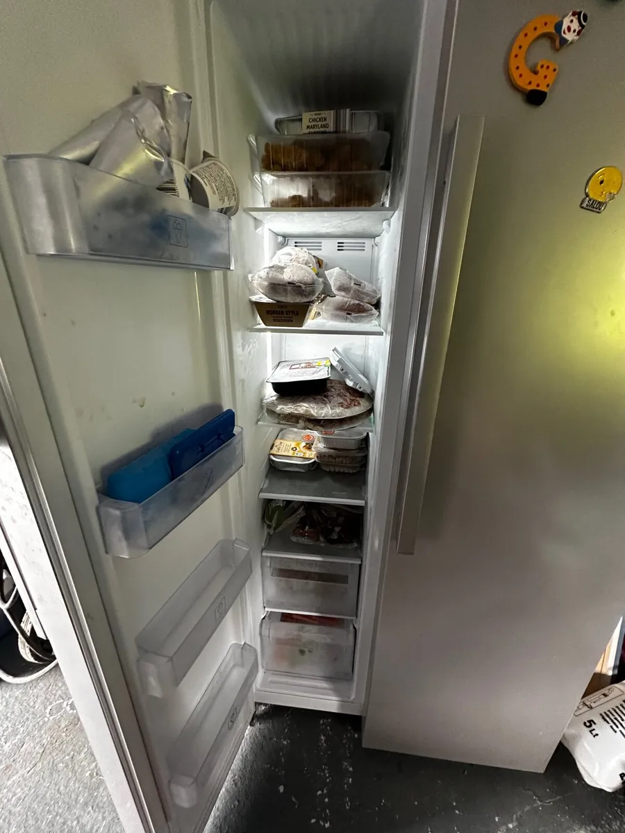American Fridge - Image 3