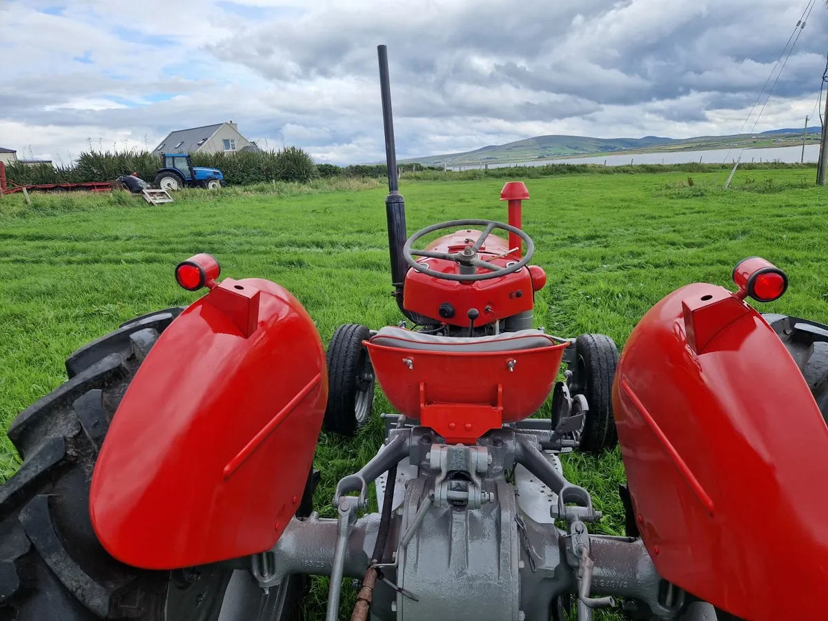 Massey Ferguson 35 1962 - Image 2