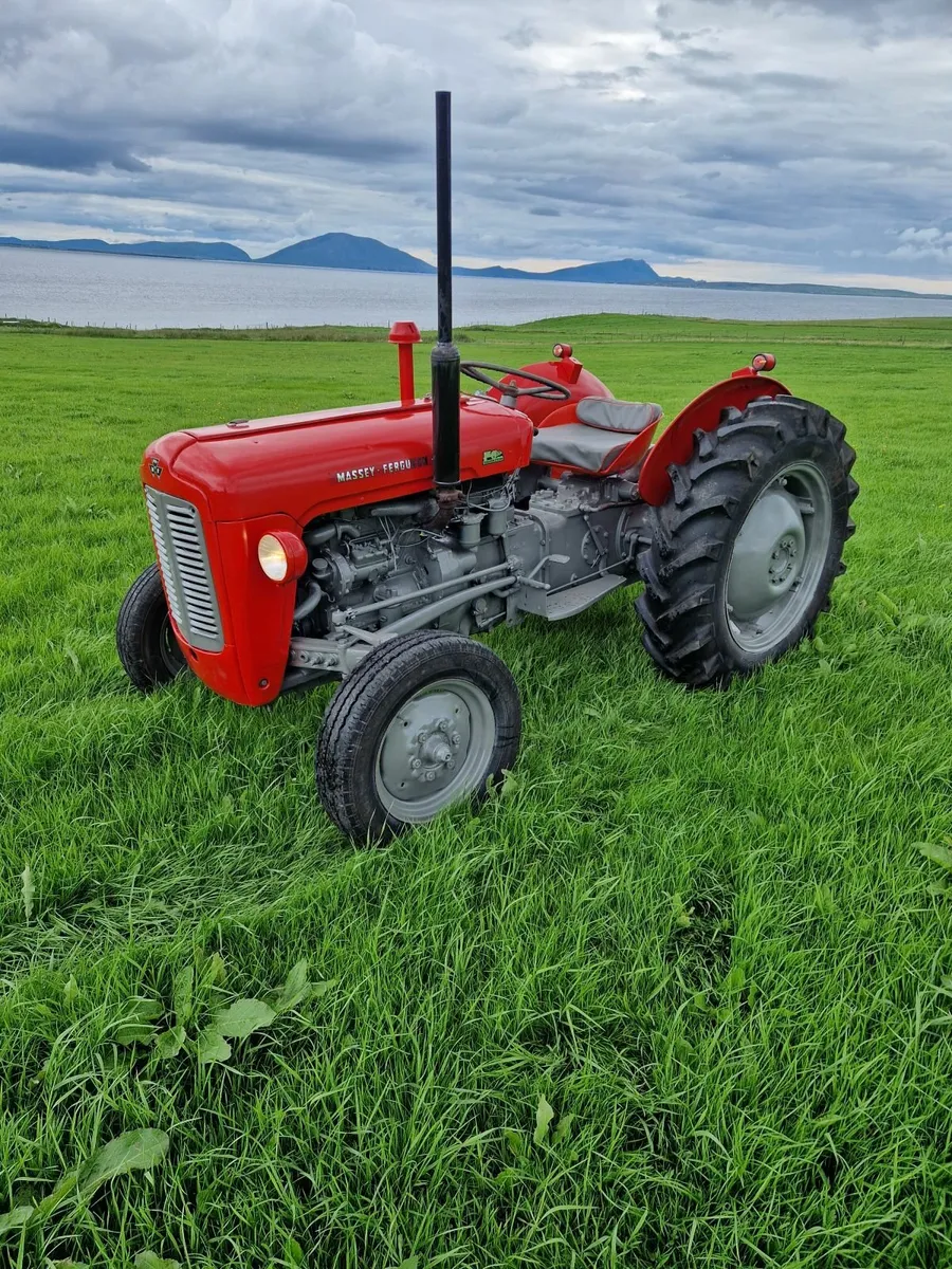 Massey Ferguson 35 1962 - Image 1