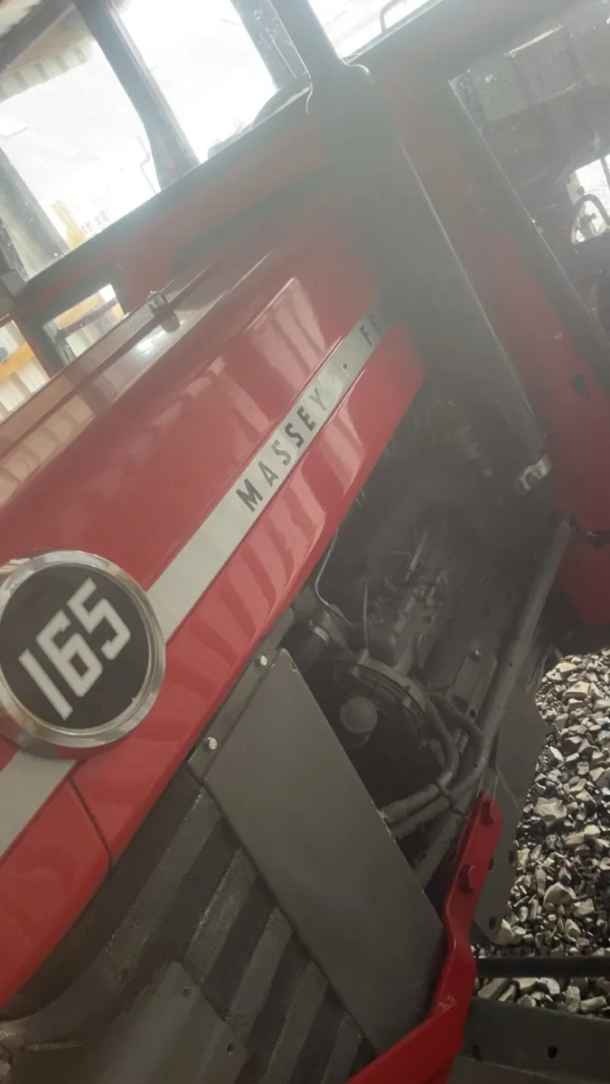 Massey Ferguson 165 - Image 3