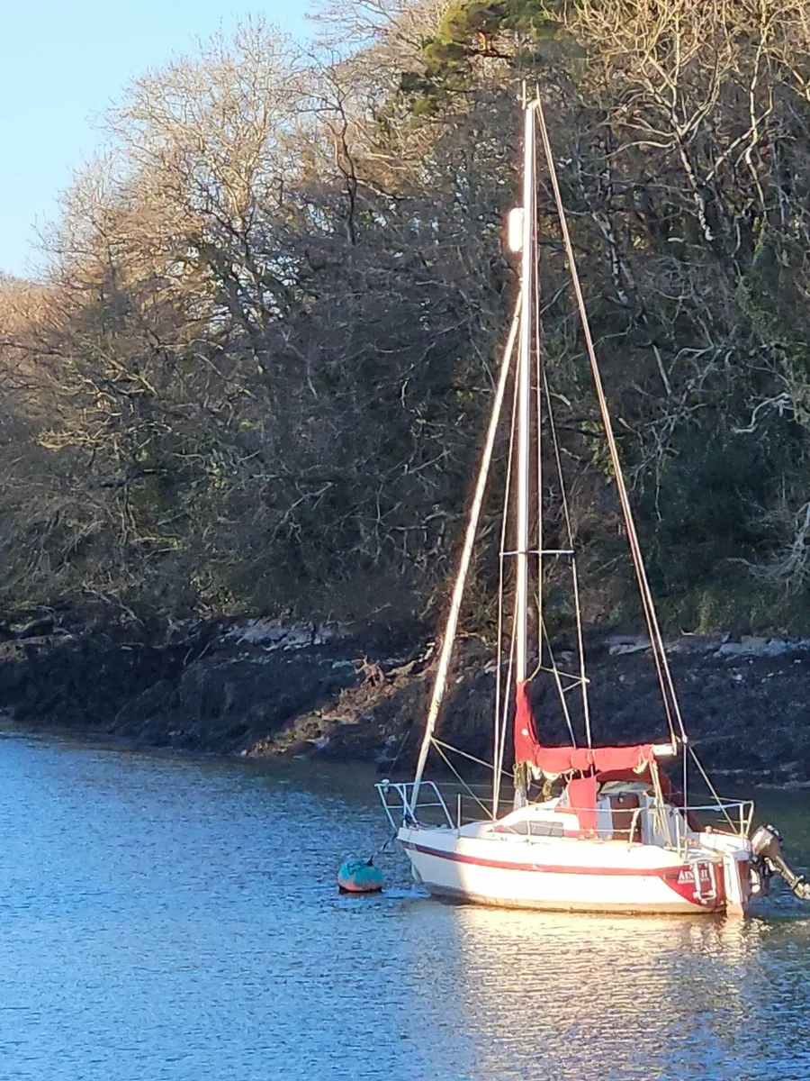 Boat - Image 2