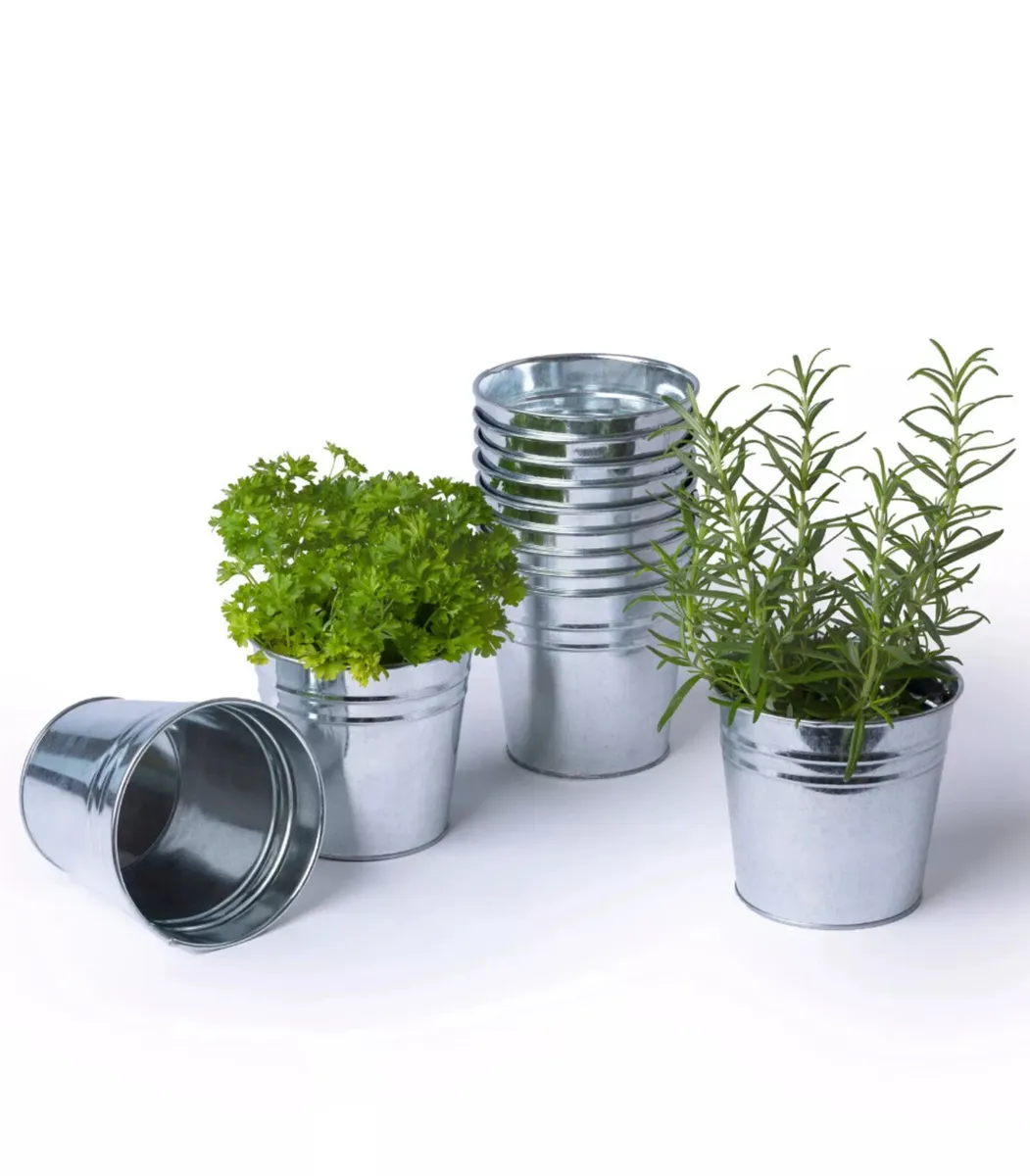 12 x Metal Herb Plant Flower Pots NEW - Image 1